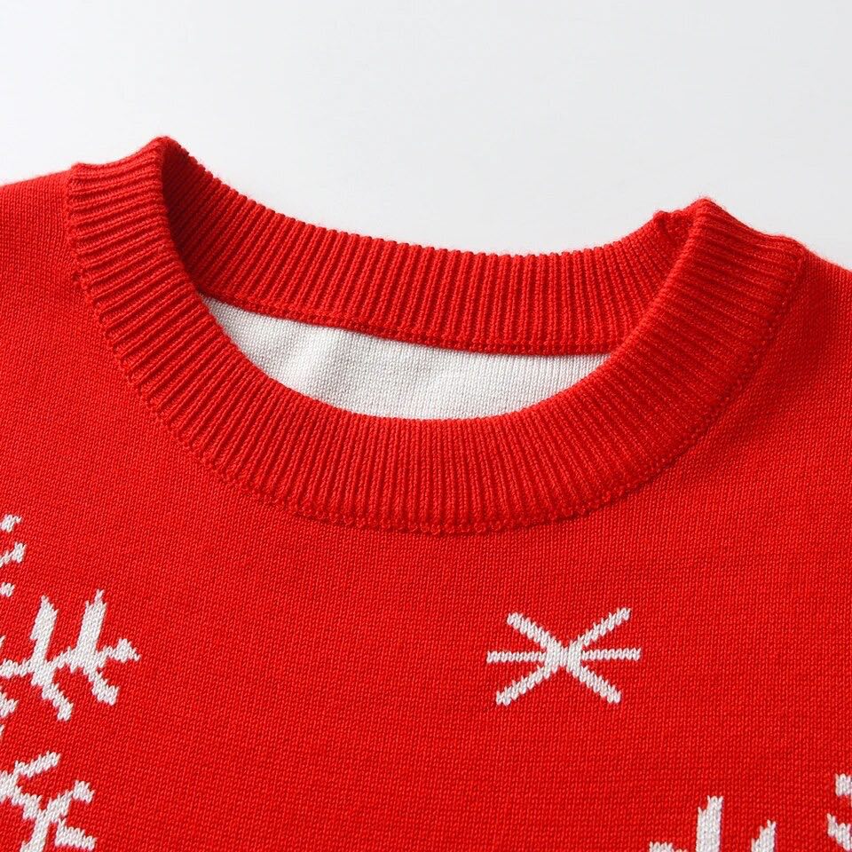 Boy's Rudolph Christmas Sweater