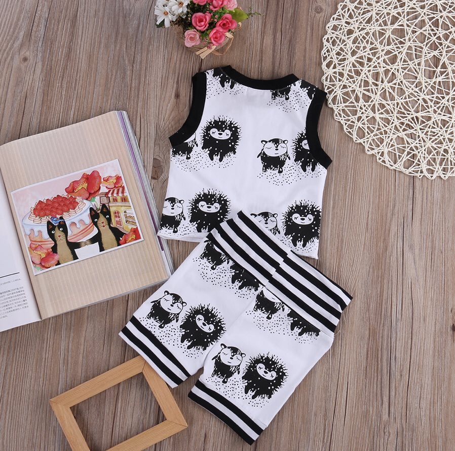 Baby Boy's 2 Pc Porcupine Hedgehog Outfit