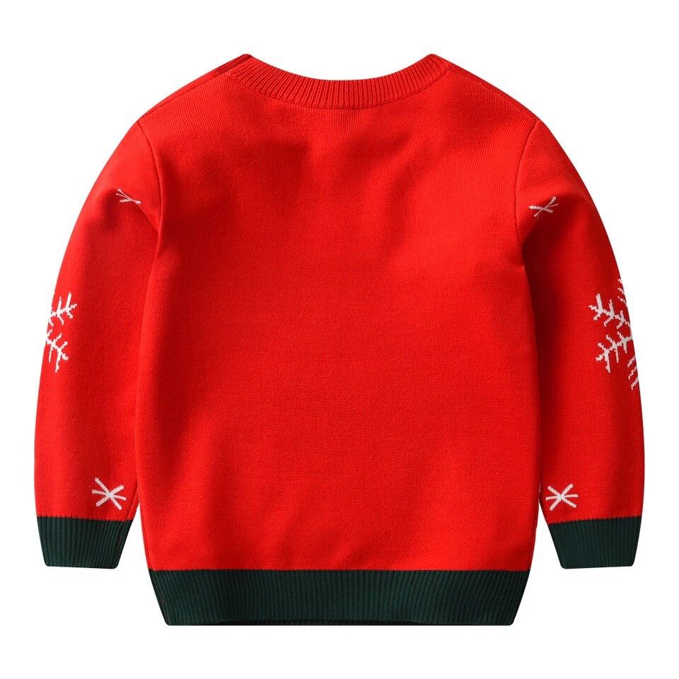 Boy's Rudolph Christmas Sweater