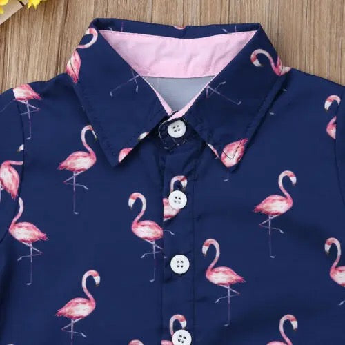 Boy's Flamingo Button Up Outfit